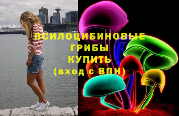 PSILOCYBIN Пестово