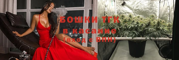 ECSTASY Богородск